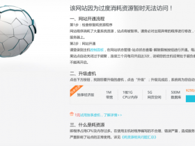 WordPress网站因为过度消耗资源暂时无法访问被主机商关停怎么办?