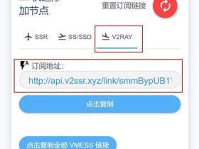 如何使用v2ray-怎么用v2ray订阅url教程