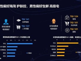 TalkiingData-2019电商人群洞察报告