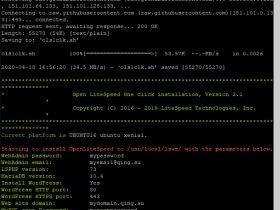 OpenLiteSpeed服务器一键安装wordpress