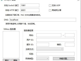 V2ray Windows电脑客户端V2RayW下载/配置教程