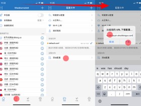 iOS苹果手机看Tiktok教程-海外抖音国际版TikTok官网下载