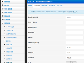 新路由3可用的带SSR plus插件的老毛子Padavan固件下载