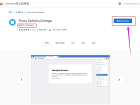 Proxy SwitchyOmega-浏览器访问网站流量代理控制插件