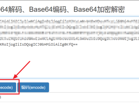 如何修改vmess url中的信息?