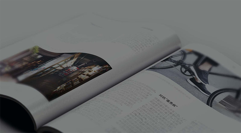 2017年中国消费者消费趋势——英敏特发布