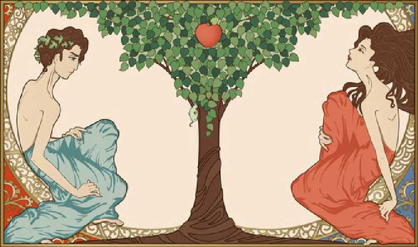美女效应/晕轮效应/禁果效应/出丑效应等科学理论在营销中的应用