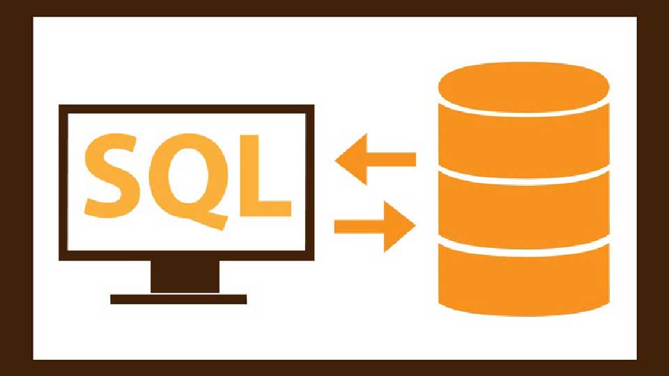 SQL常用函数-SELECT 查询
