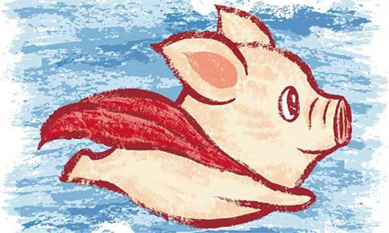2017互联网风口上的猪，都去了哪儿？