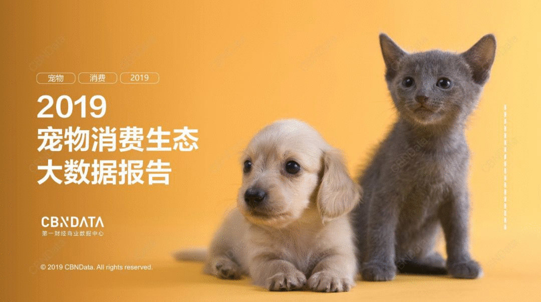 2019宠物行业市场研究报告