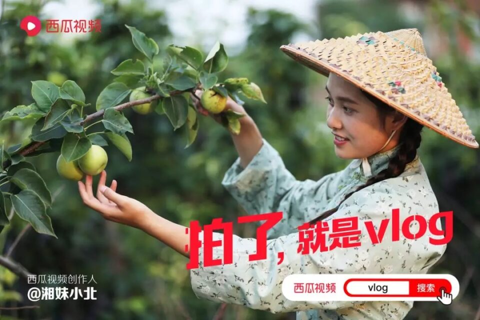 什么是全民化vlog?拍了就是vlog