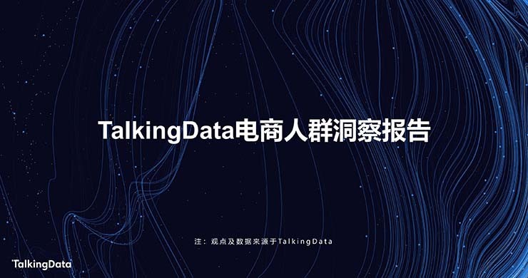 TalkiingData-2019电商人群洞察报告