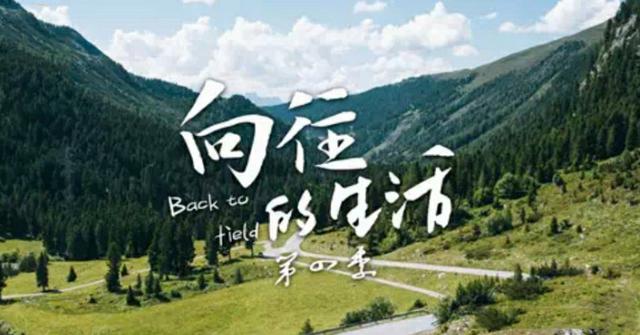 《向往的生活》文案大全