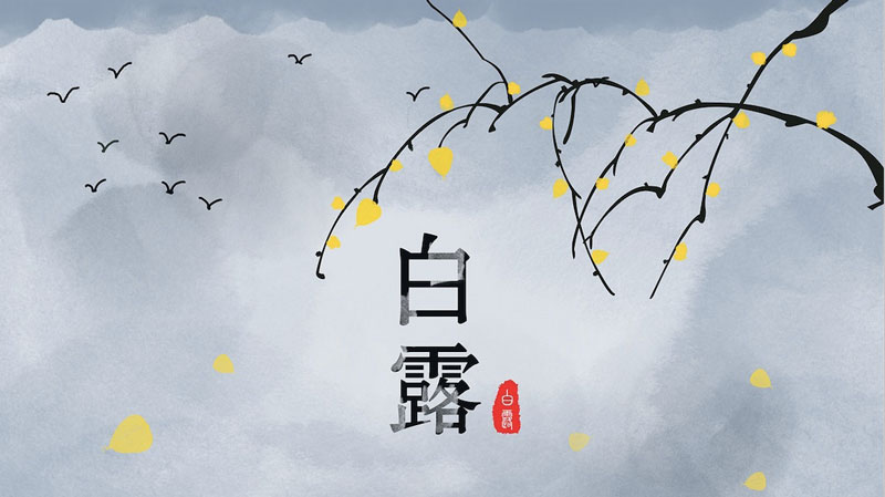 白露海报文案-二十四节气文案