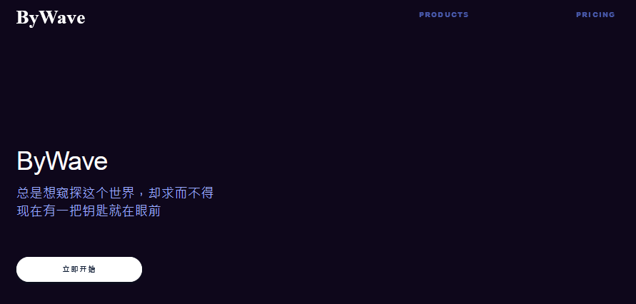BYWAVE机场介绍 - Gary Geng